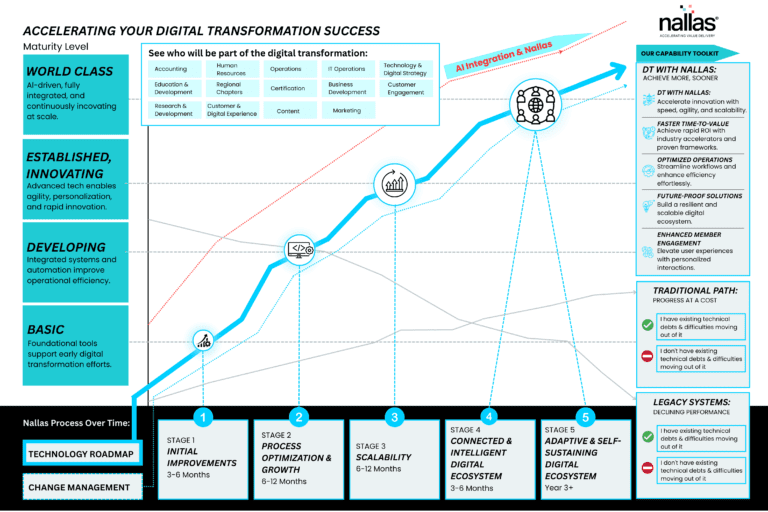 Nallas Digital Transformation Maturity Model Image description