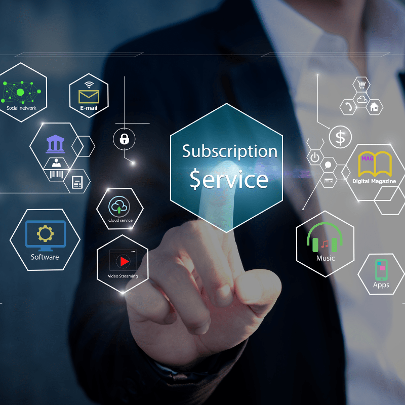 Subscription Model Brahmarsive Image