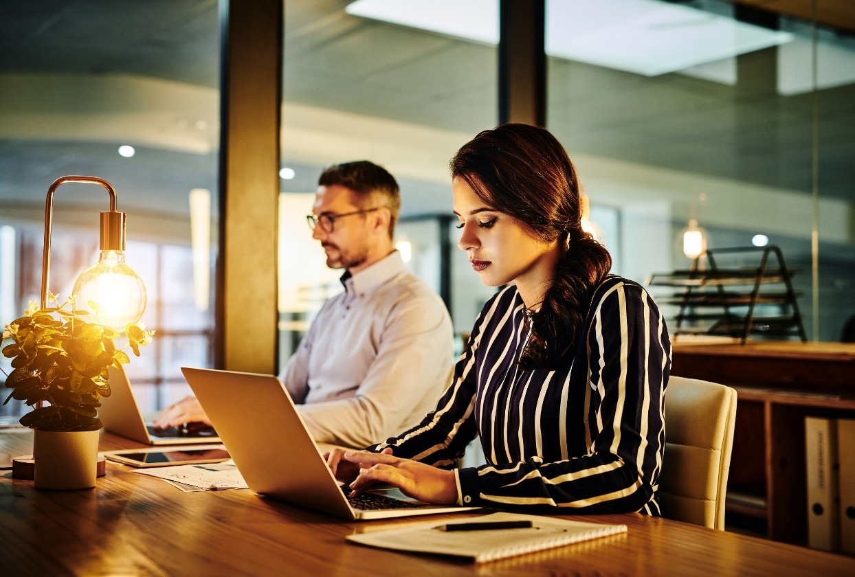 Professional Services Image